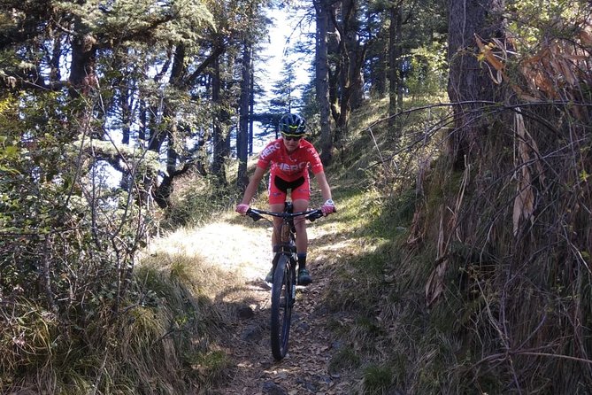 3-Day Private Mountain Bike Camp in Shimla - Safety Tips