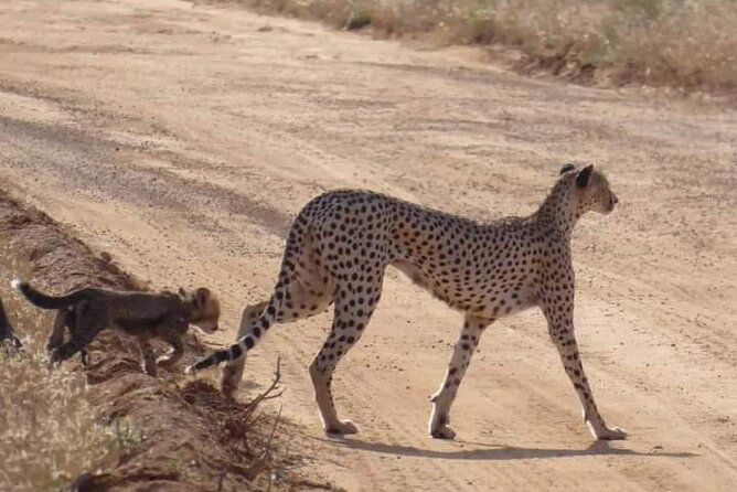 3 Day Safari Tsavo East - Booking Options