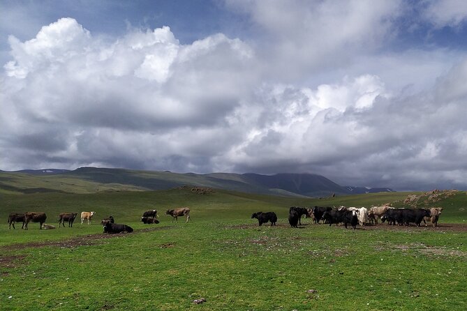 3-Day Summer Trip to Son-Kul and Issyk-Kul Lakes - The Sum Up