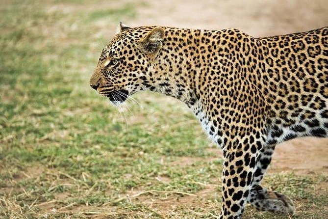 3 Days 2 Night Maasai Mara Safari From Mombasa - Meeting and Pickup Information