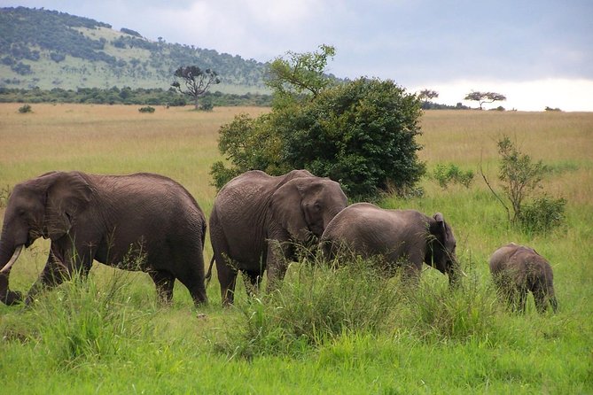 3 Days Best Of Kenya - Booking and Cancellation Policy