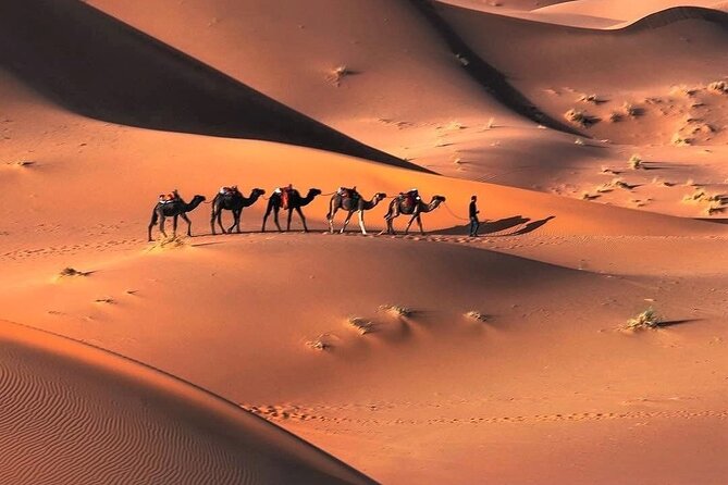 3 Days Desert Tour From Agadir to Merzouga Dunes & Camel Trek - Pickup and Meeting Logistics