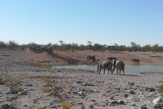 3 Days Etosha National Park Camping - The Sum Up