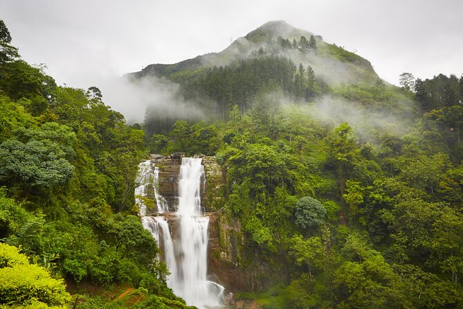 3 Days in Hill City With Water Rafting From Negombo - Day 3: Return Journey to Negombo