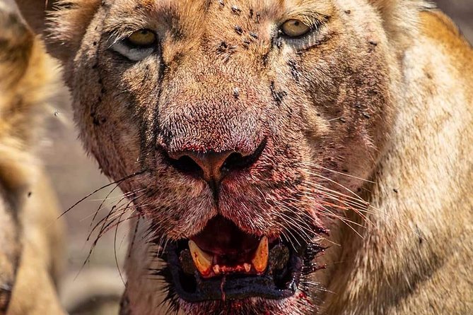 3 Days Ngorongoro-Lake Manyara - Booking and Cancellation Policy