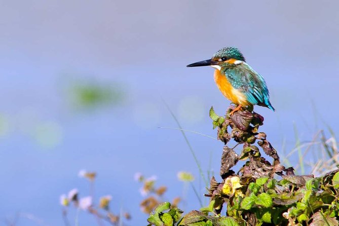 3 Days Private Adventure Tour to Kitulgala - Transportation Information