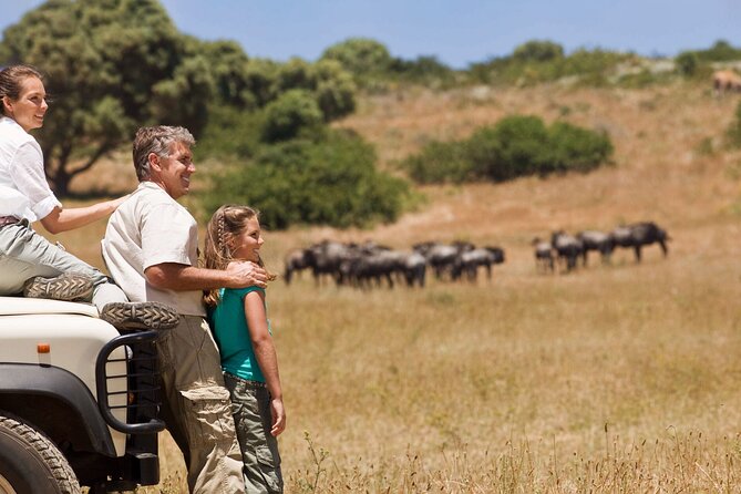 3-Days Private Budget Safari: Tarangire, Ngorongoro & Manyara - Transportation Details