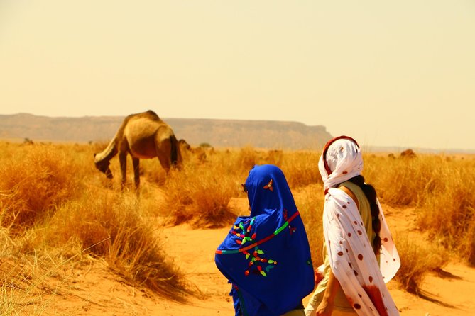 3 Days Private Tour From Fes to Marrakech With Luxury Desert Camp - What To Expect