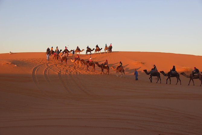 3 Days Safari To Merzouga From Rabat - What to Pack for the Safari