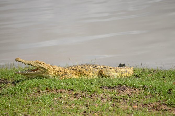 3 Days Selous Game Reserve Road Trip- Boat Safari, Game Drive And Walking Safari - Frequently Asked Questions