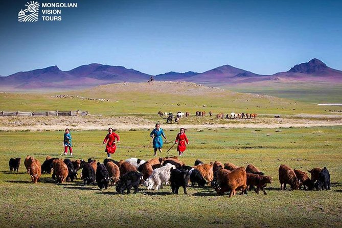 3 Days Semi Gobi Desert and Chinggis Khaan Statue - Booking Process