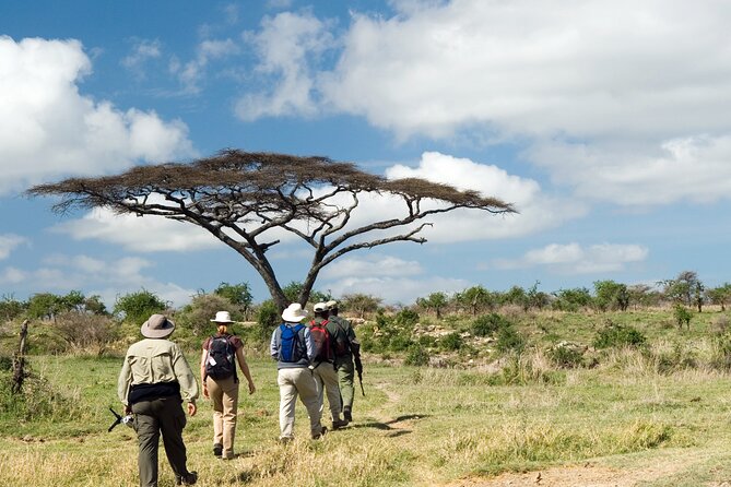 3 Days-Serengeti National Park Iconic Safari - Safety and Health Guidelines