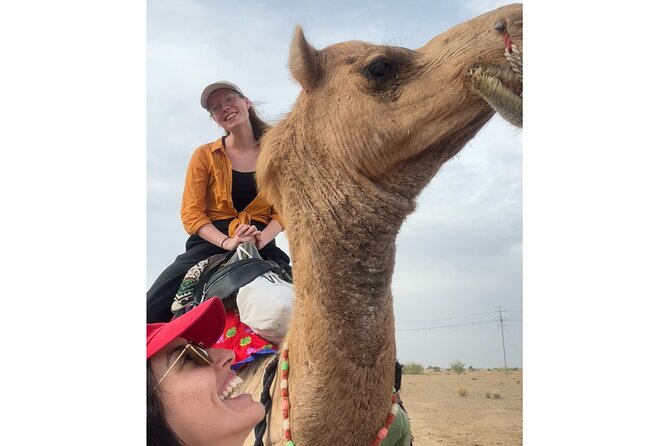 3 Days Tour in Wild Desert Safari - Frequently Asked Questions