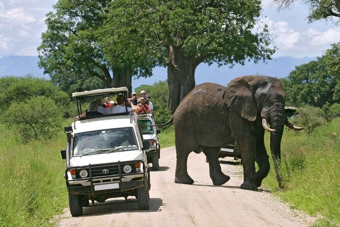3 Days Wildlife Safari From Mombasa - The Sum Up