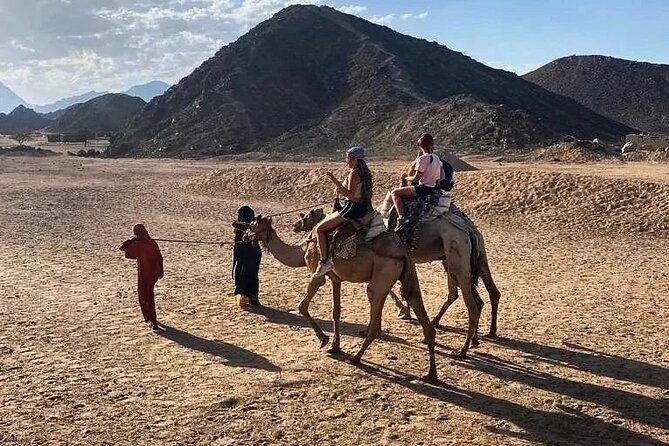 3-Hour ATV Quad Safari and Camel Ride - Hurghada - Health and Accessibility Information