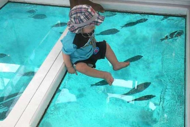 3-Hour Private Glass-Bottom Boat Tour With Snorkeling in Hurghada - Special Offer Details
