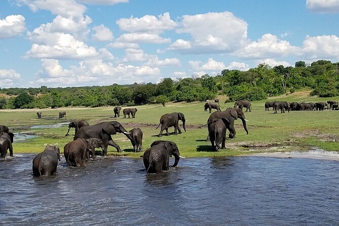 3 Hours Chobe Boat Cruise, Botswana - Frequently Asked Questions