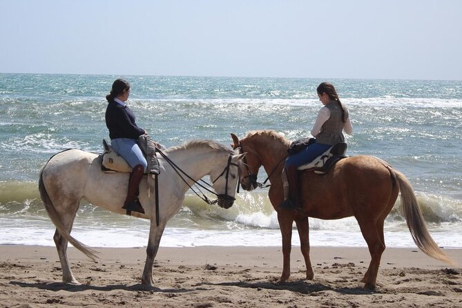 3 Hours Horse Riding, Beach and Sand - Hurghada - What to Expect