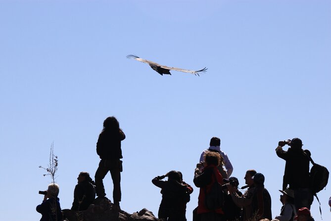 4 Day Arequipa and Colca Canyon Tour - Frequently Asked Questions