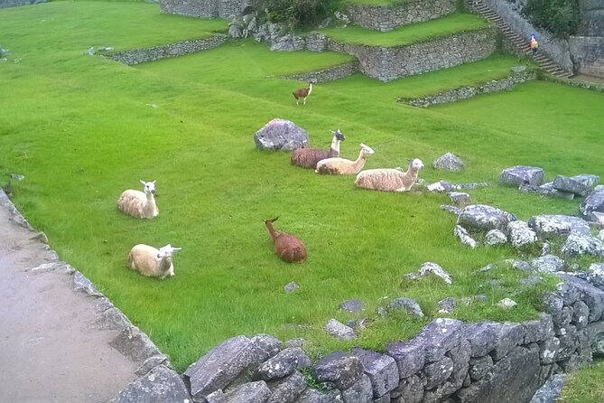 4-day Classic Inca Trail to Machu Picchu - Tips for a Successful Journey