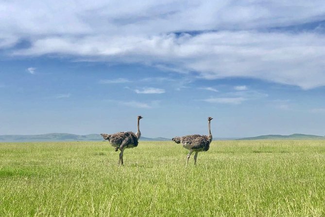 4-Day Kenya Masai Mara Safari From Nairobi - Cancellation Policy