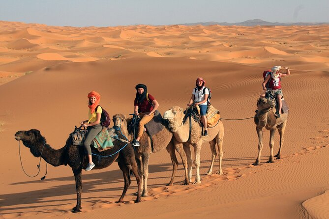 4-Day Morocco Tour From Fes to Marrakech via Sahara Desert - Guide and Cultural Insights