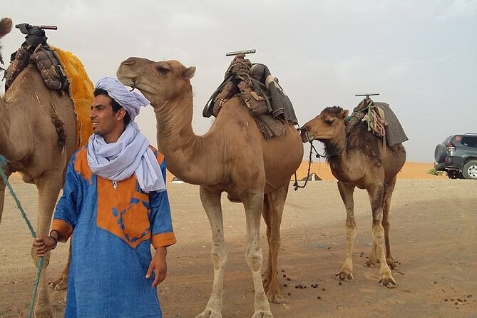 4-Day Sahara Desert Private Tour From Fes to Marrakech via Merzouga - Inclusions and Exclusions