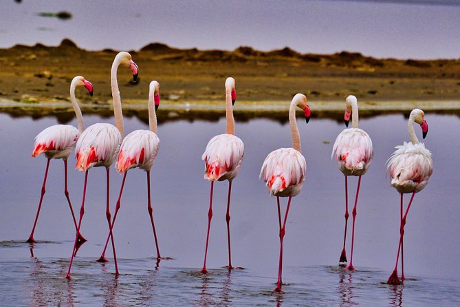 4 Day Sossusvlei and Swakopmund Lodging - Cancellation Policy and Regulations