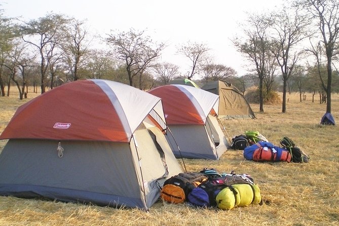 4-Day Tanzania Best Camping Safari: Lake Manyara, Serengeti & Ngorongoro Crater - Cancellation Policy