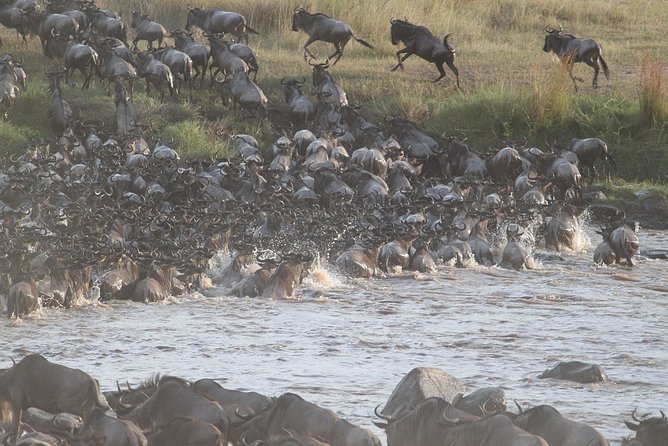 4 Days/3 Nights Adventure in Maasai Mara – Lake Nakur - Safety and Travel Tips
