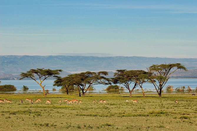 4 Days Aberdare, Lake Nakuru, Lake Naivasha Safari (Minimum 2 Persons) - Cancellation Policy