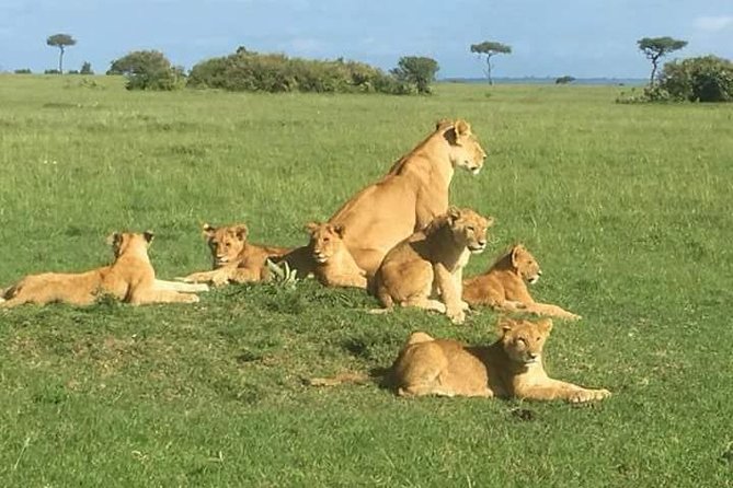 4 Days Amboseli Explorer - Cancellation Policy