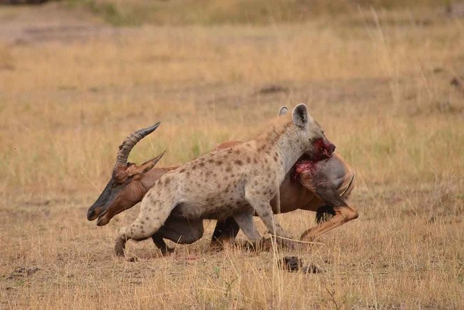4 Days Private for 4 Pax Ngorongoro & Serengeti - Pricing and Inclusions