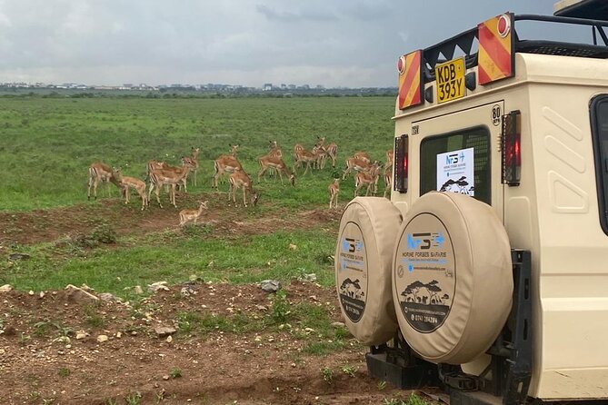 4 Days Private Tour in Lake Nakuru and Maasai Mara Safari - Booking Process