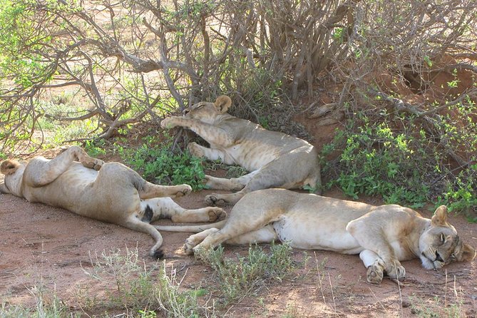 4 Days Samburu , L. Nakuru & L. Bogoria Safari Package (Minimum 2 Pax) - What to Pack