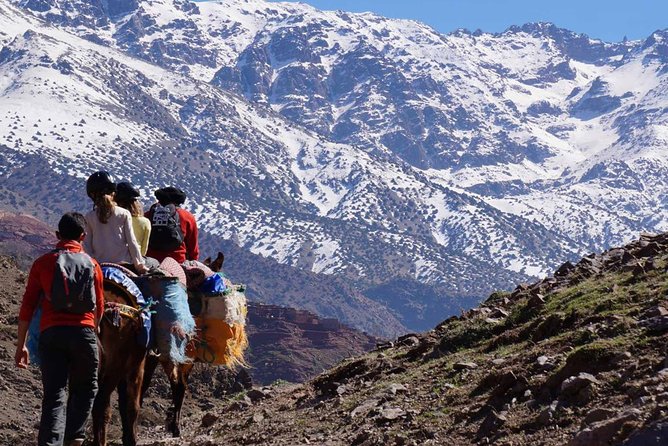 5-Day Mount Toubkal Ascent Trekking Tour From Marrakech - How to Book and Confirm
