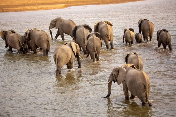 5 Day Nature Experience Mikumi and Ruaha + Ismila Stone Age+Maasai Culture - Activity Highlights