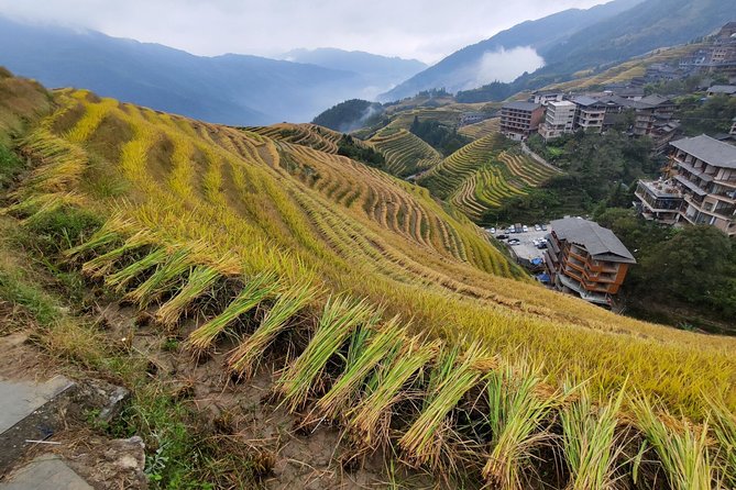 5-Day Private Guided Tour From Guilin to Shanghai With Lunch - Inclusions and Exclusions