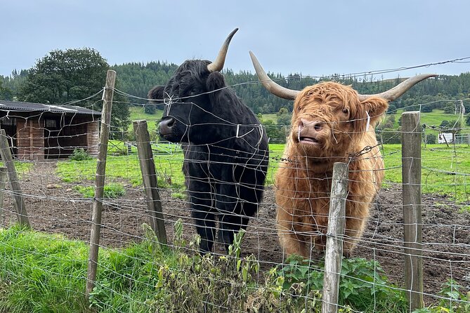 5-Day Private Orkney and Highlands Tour - Booking Process