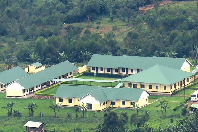 5-Day Private Tour of Kibale and Bwindi Impenetrable National Park - Day 4 Itinerary