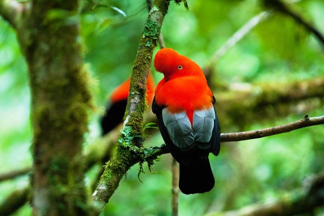 5 Day - Refugio Amazonas Classic Program - Group Service - Tips for Travelers