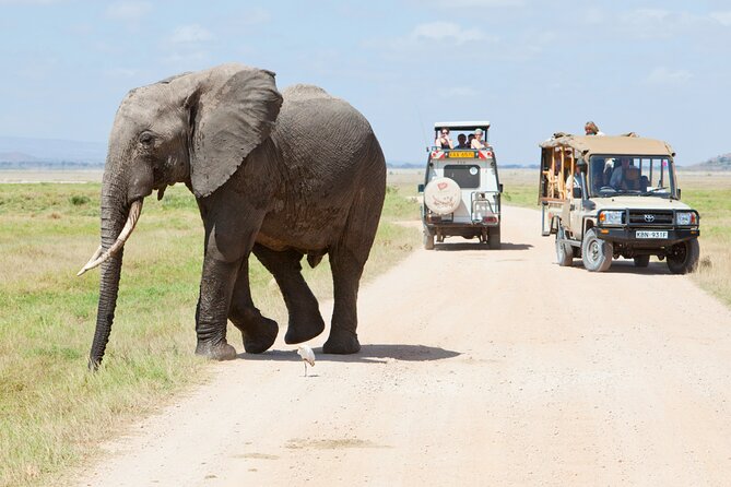 5-Day Safari Tour With Kilimanjaro Day Hiking in Tanzania - Accommodation and Meals