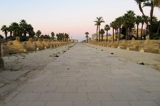 5-Day Tour ( Alexandria -Cairo - Luxor City by Plane ) - Cancellation Policy