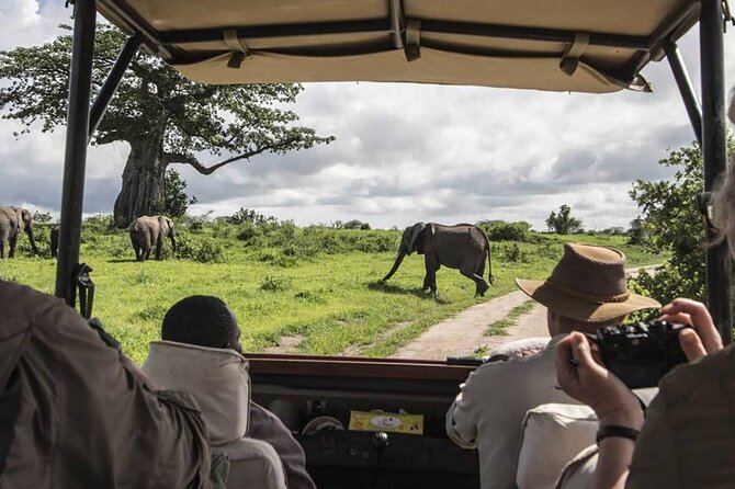 5 Days Aberdares Lake Nakuru & Masai Mara Wildlife Safari - Day 3: Lake Nakuru to Masai Mara