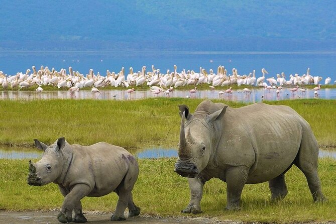 5 Days Lake Naivasha Lake Nakuru And Masai Mara Safari Tour - Additional Tour Details