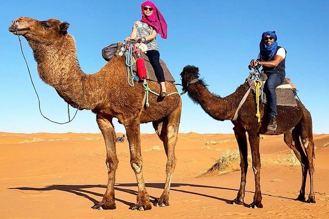 5 Days Luxury Tour Guide From Marrakech to Erg Chebbi (Merzouga) - Flexibility and Extras