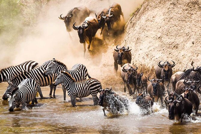5 Days Mara River Crossing Wildebeest Migration in Serengeti - Wildlife Viewing Opportunities