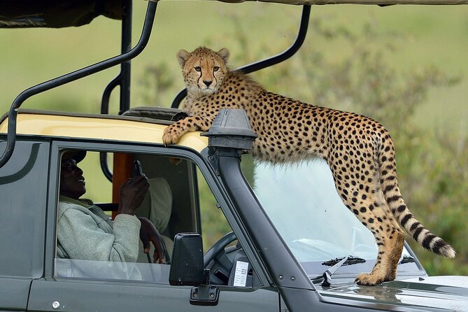 5 Days Masai Mara With Lake Nakuru and Naivasha Tour by 4x4 Jeep - Optional Activities