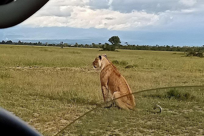 5 Days Olpejeta Conservancy & Solio Rhino Sanctuary - Cancellation and Refund Policy