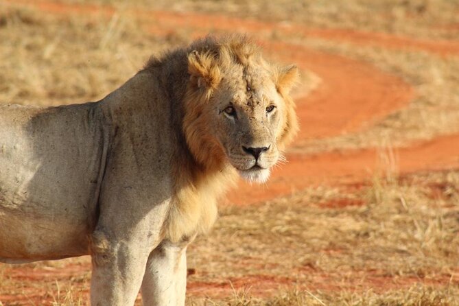5 Days Safari Masai Mara +Hells Gate/ Lake Naivasha - Additional Tour Information